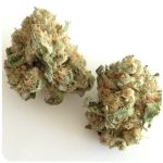 Шишки "White Widow"  (Белая вдова)  Гидропоника -  Бошка VHQ в Солнечногорске